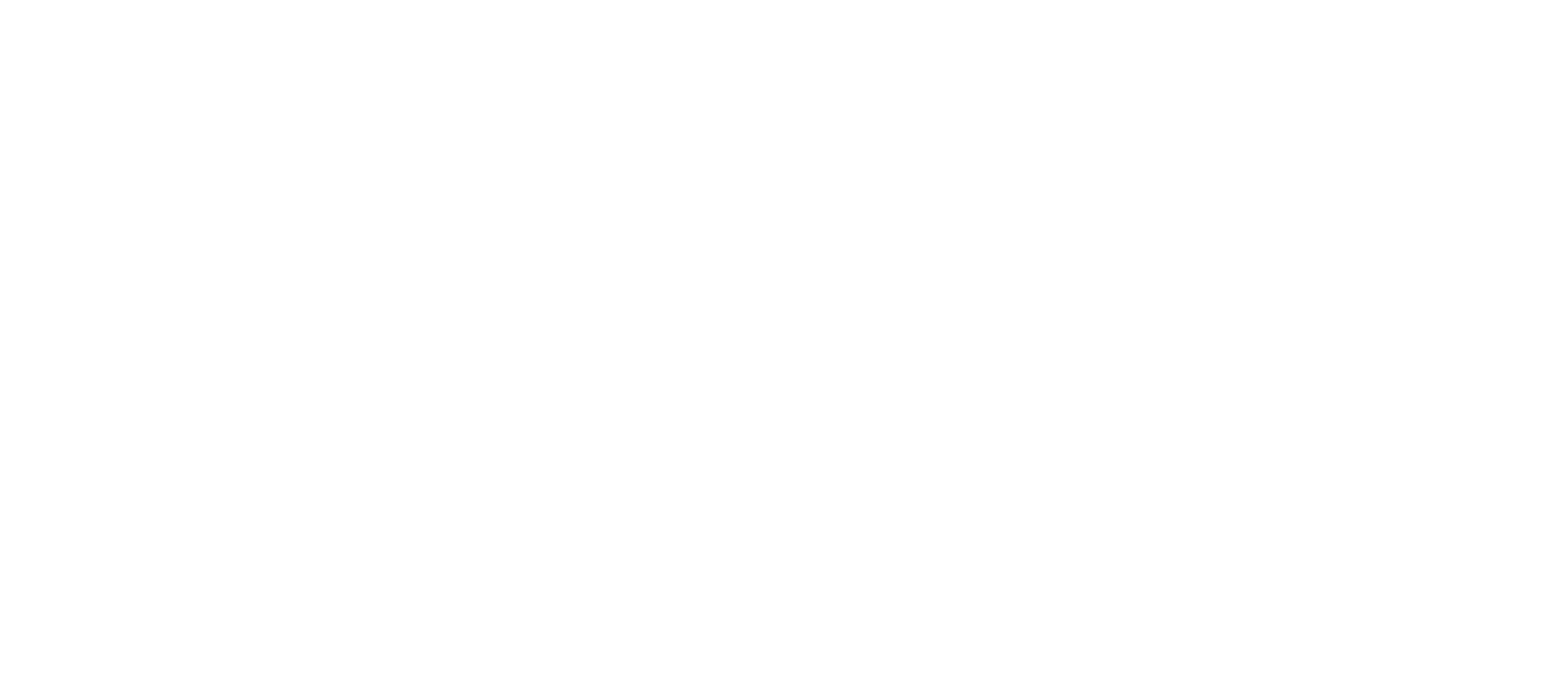 logo veye