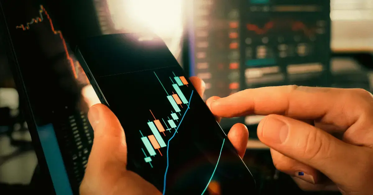 Are Temple & Webster shares a buy after falling 32% yesterday?