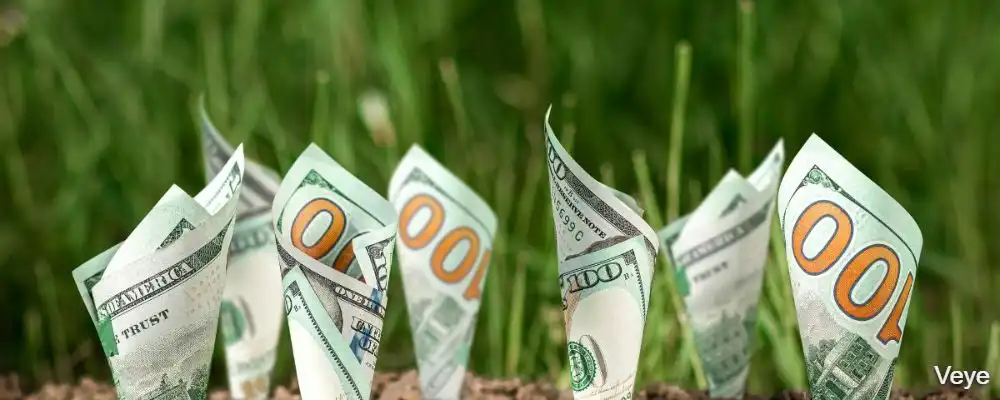 Top ASX Dividend Stocks: Best Dividend Shares for 2023