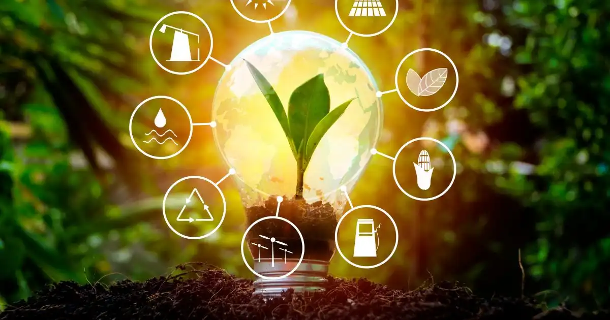 Top ASX Green Energy Stocks 2024: Green Energy Excellence