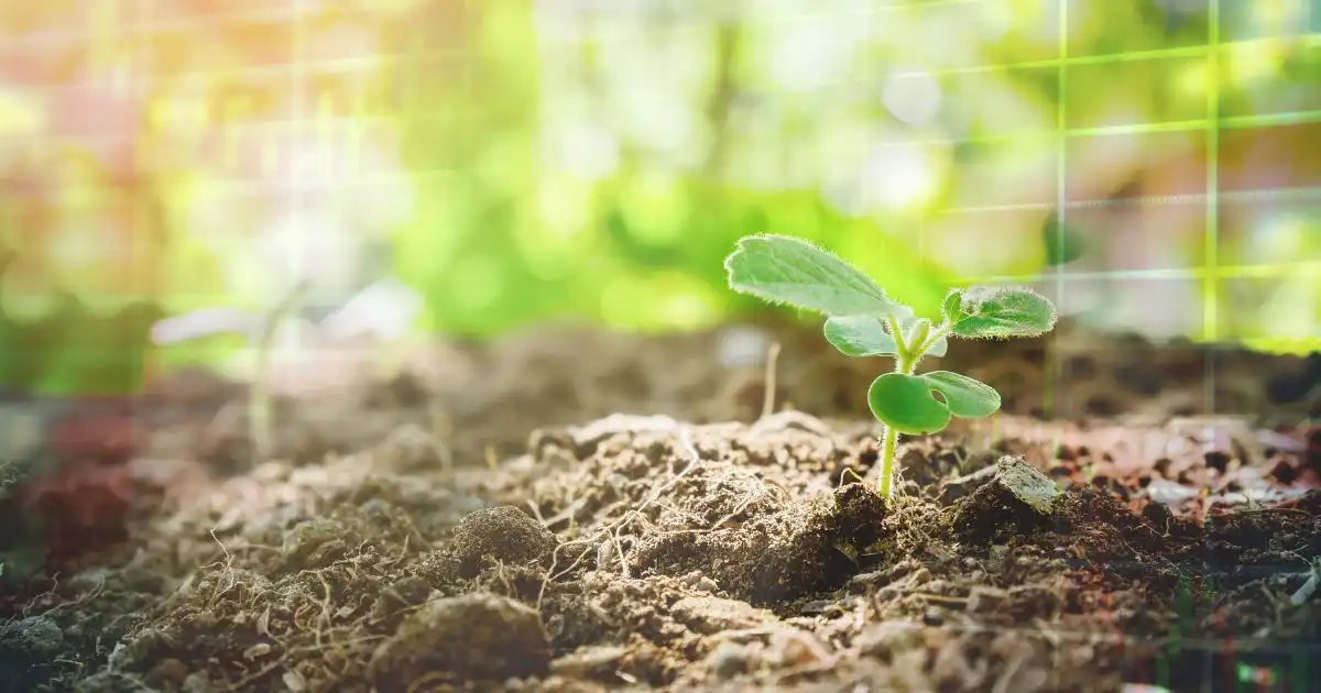 Top ASX Agriculture stocks for 2024