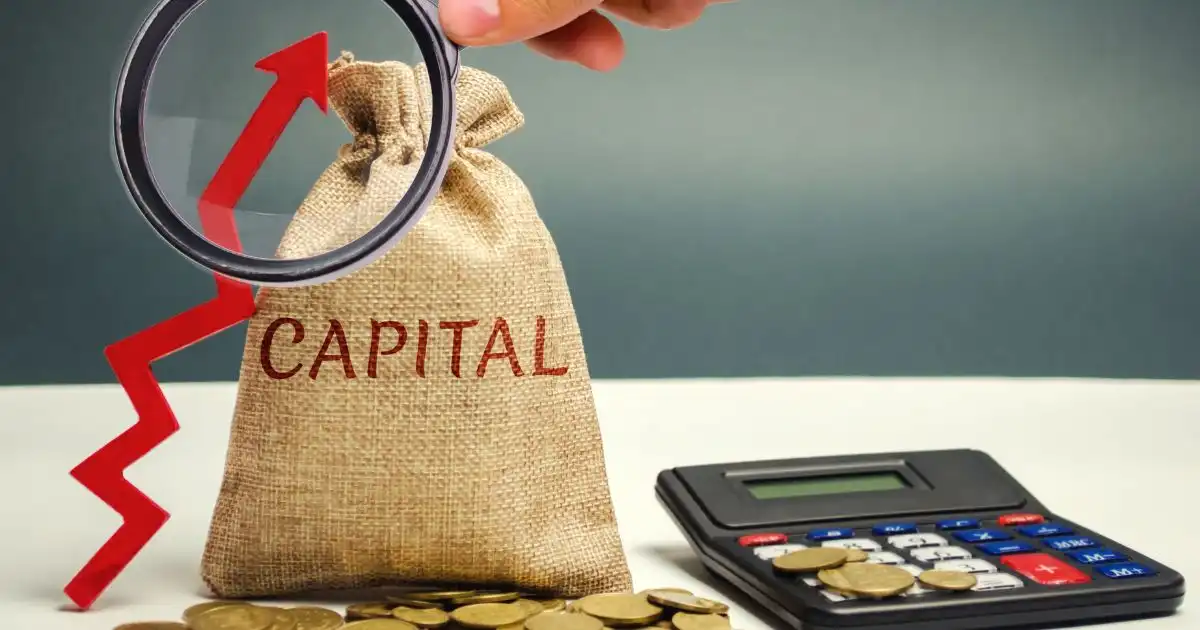 Top 5 Largest Companies by Market Capitalization in 2024