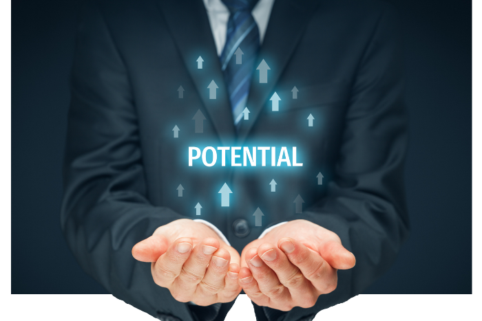 The Speculative Stock with High Potential