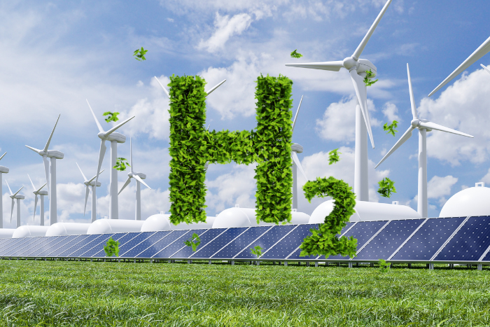 Two ASX Clean Energy Stocks with Growth Potential