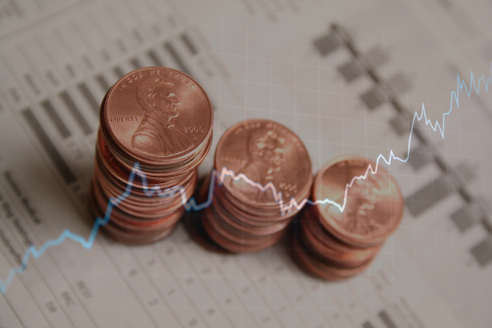 ASX Penny Stocks for Long Term Holding