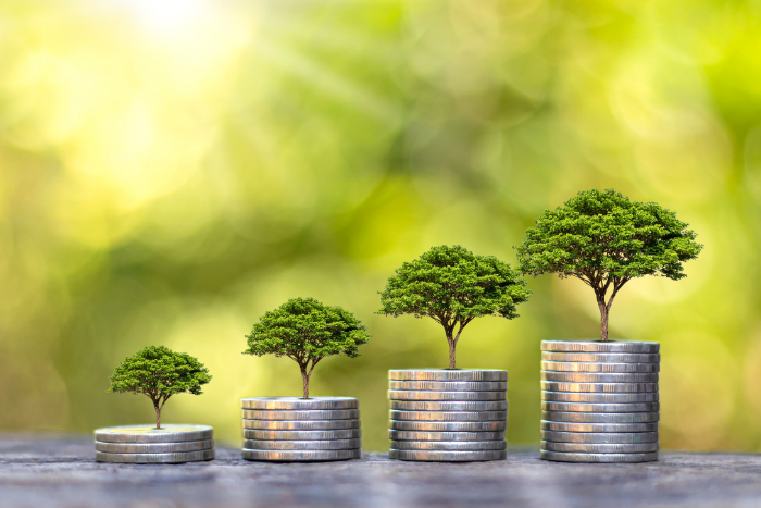 ASX Dividend Stocks Undergoing Continued Growth