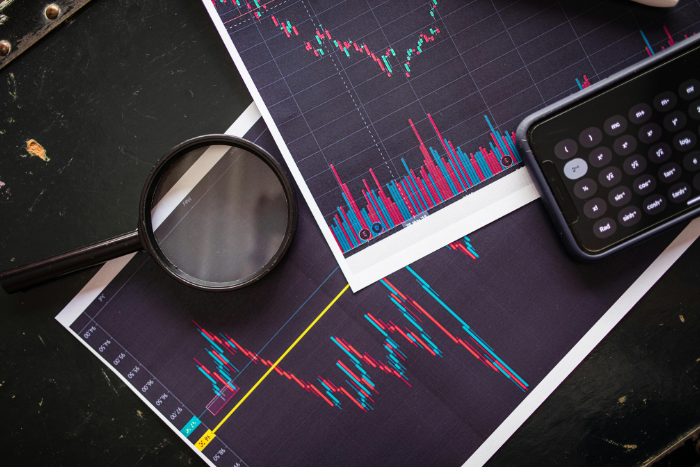 Best ASX Stocks that Screamed Higher in FY25