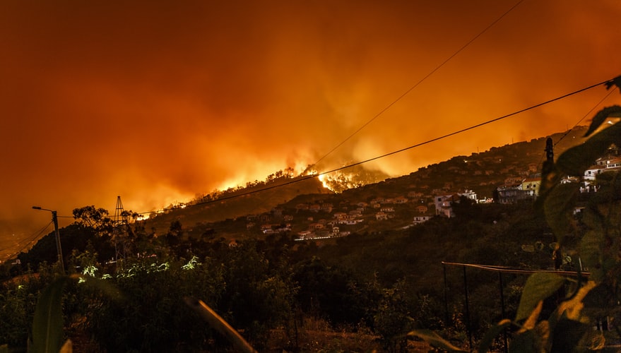How the bushfires are impacting the country?