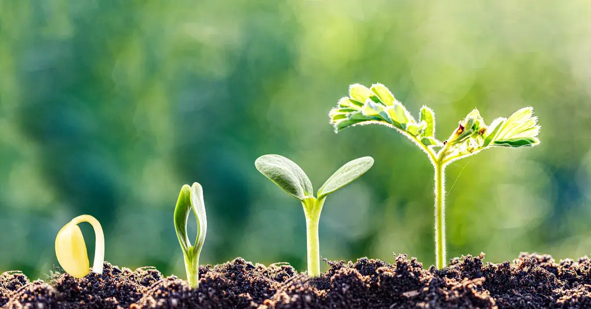 ASX All Ordinaries Rare Earth Rising Stocks