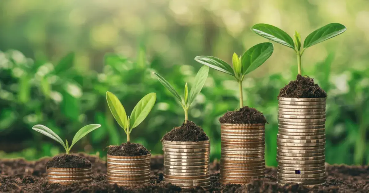 5 ASX Stocks With Strong Fundamentals and Growth Potential in 2026