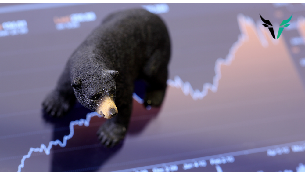 Should investors dread a bear market?