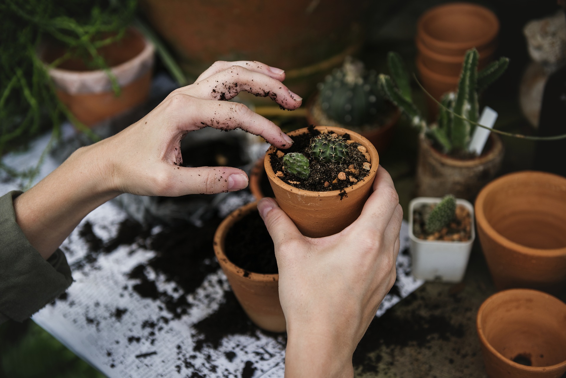 How is mining impacting the environment