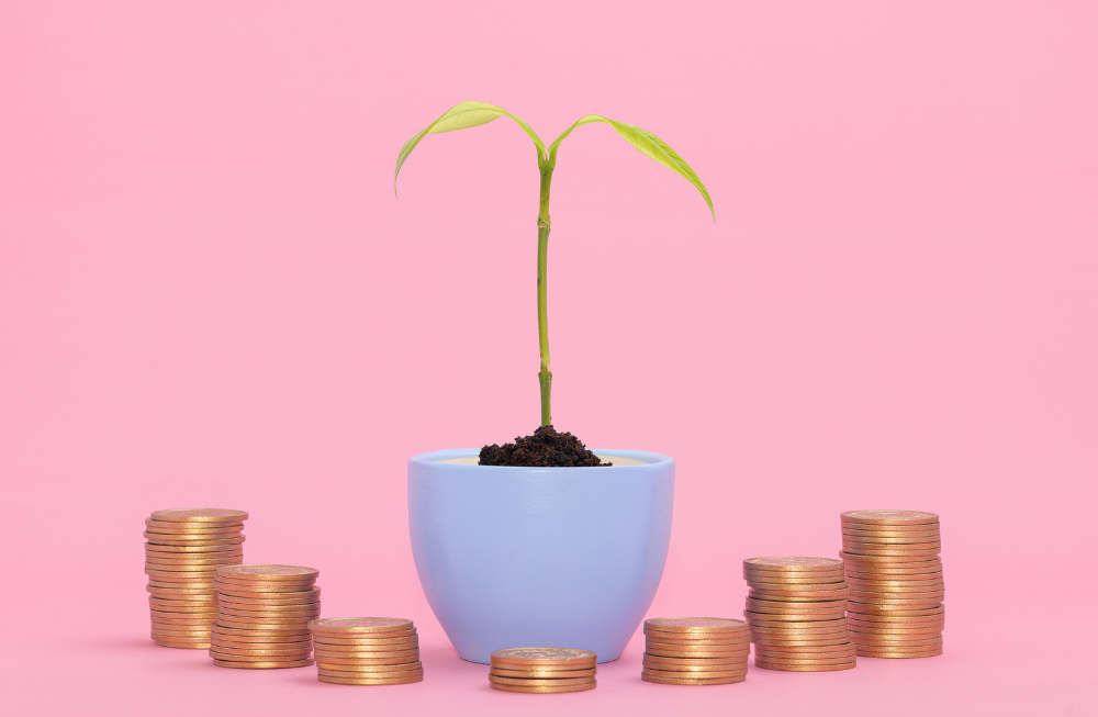 Top Five ASX200 Emerging Stocks to Invest
