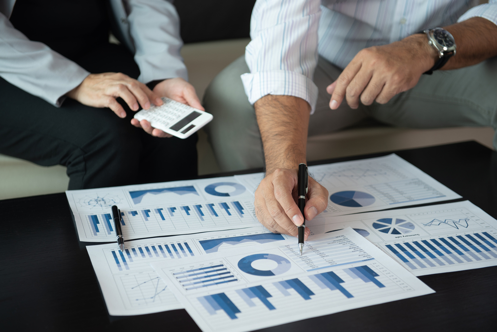 How public data is used to do fundamental analysis?