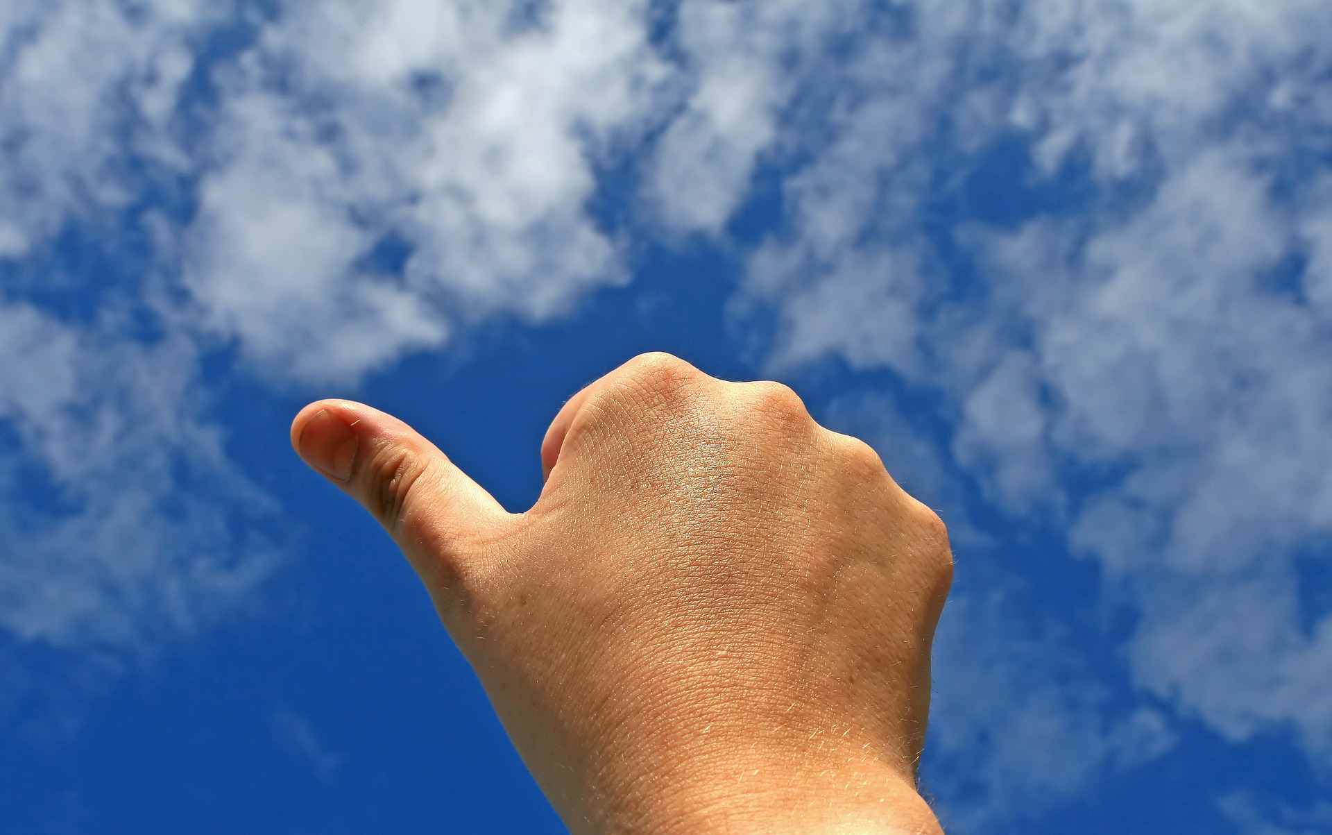 Will Pro Medicus Ltd recover and continue heading north?